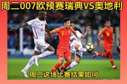 开云体育中国-瑞典战绩亮眼，欧预赛表现令人期待