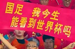 开云APP-世界杯预选赛席卷全球，奋力争霸的简单介绍
